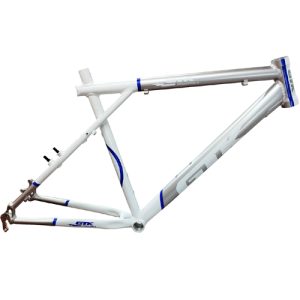 Quadro GTK Evolution 8 Cinza-Branco-Azul